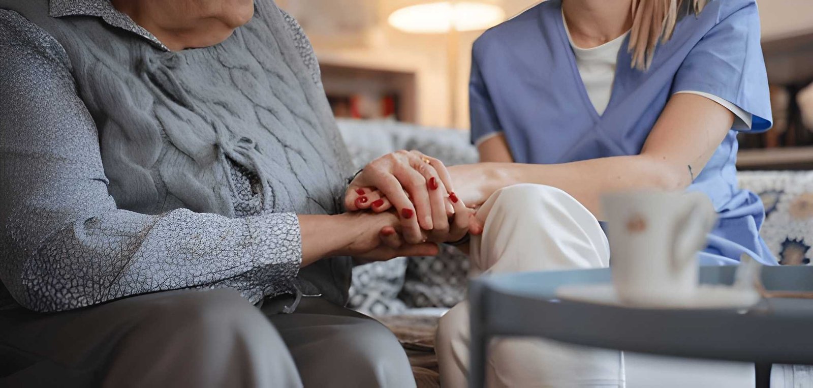 Companionship Services